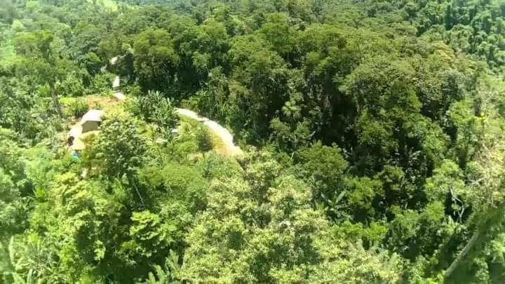 Casa Temporada em Paraty Chalé Rural Saíras Esterno foto
